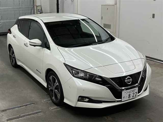 Picture of 40 kWh 2018 Leaf G, SOH 93%, 19k km, Very tidy